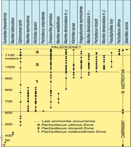 Range Charts Example of a range chart showing the ranges of late Cretaceous ammonite cephalopods (chambered mollusks) from the