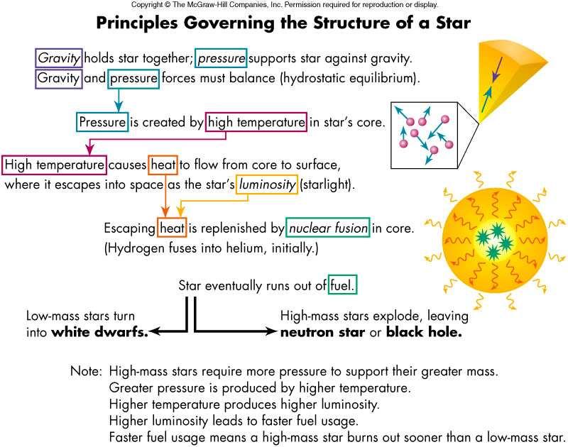 a star is found to depend critically on its mass The possible endings of a star s life naturally divide stars into two groups: low-mass stars and high-mass stars, with the division set at about 10