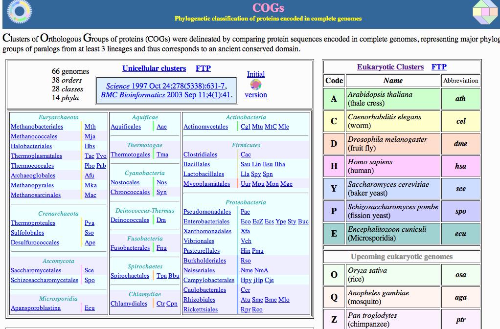 COGs and KOGs Don t use this as a way to classify your orthologs.