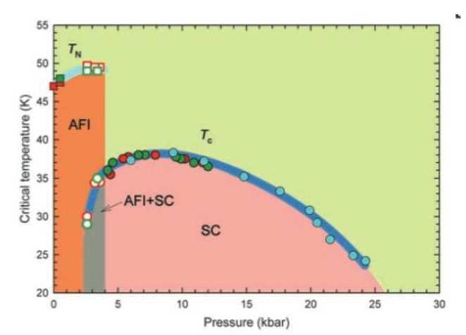 Superconductivity in Fullerides Cuprates A 3 -C 60 Pnictides Superconductivity close to an AF state: one