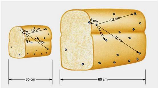 1929 Expanding Universe Edwin Hubble Astronomy in 1929 A loaf of raisin bread in a 1929 oven t = t 0, R(t) = 1 t < t 0, R(t) < 1 1923: Hubble