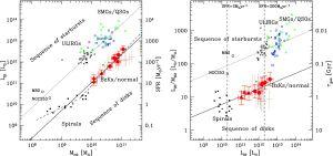 Linking molecular gas and star formation at high redshift: Integrated