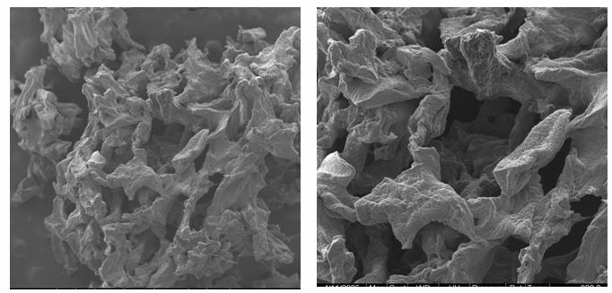 SEM pictures of the polymer before and after treatments With the increase of the mean pore size, The Na + ions move to the outside of the polymer more easily, and the hydrophilic COO - groups attract