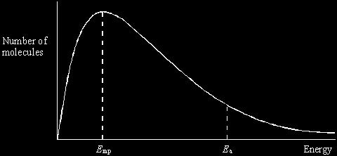 (c) The curve below shows the Maxwell Boltzmann distribution of molecular energies, at a constant temperature, in a gas at the start of a reaction.