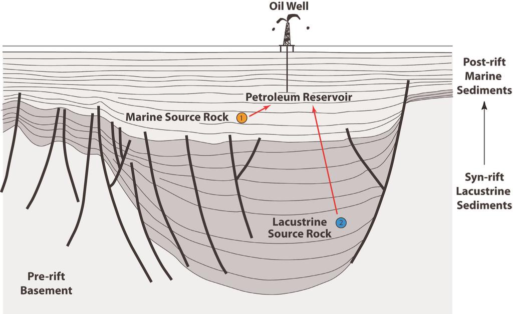 Deconvolving Oil Mixtures A sophisticated understanding of petroleum systems requires the recognition and deconvolution of oil samples derived from more than one source rock.