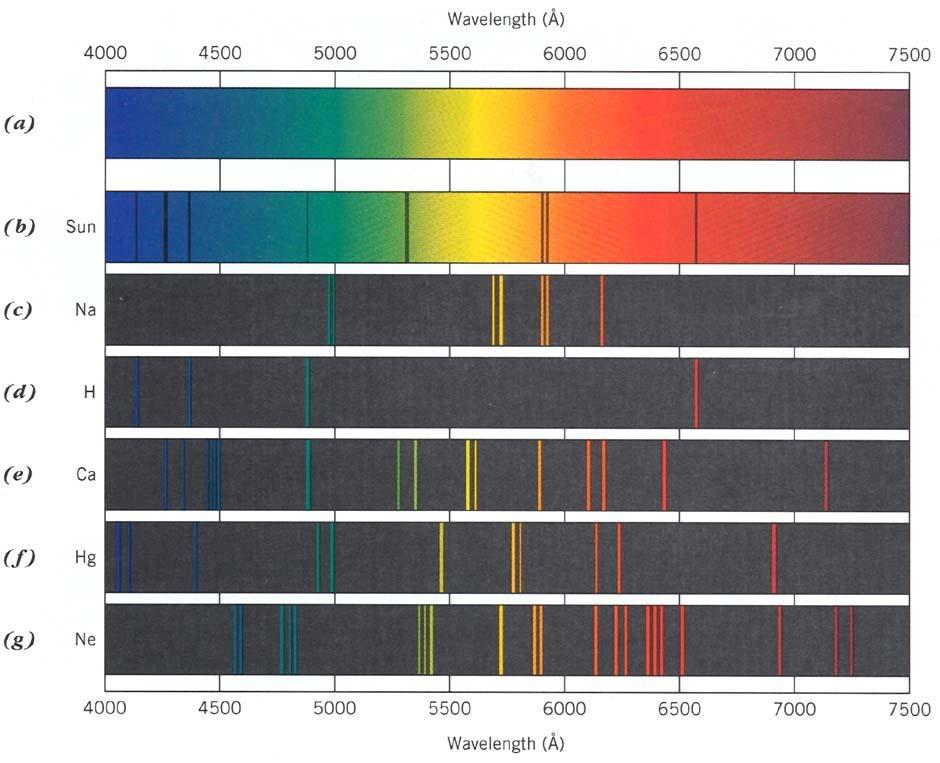 Here is the Sun s spectrum, along with a blackbody of the sun s temperature (top--why are there no lines?), and the spectra of individual elements as observed in the laboratory.