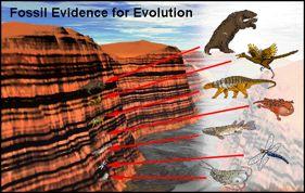 The evidence for evolution is drawn from data