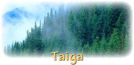 Tiaga Located in the upper latitudes under