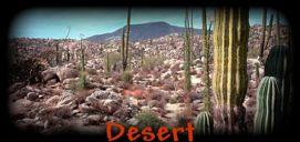 Deserts Very dry Very hot during the day and cold at