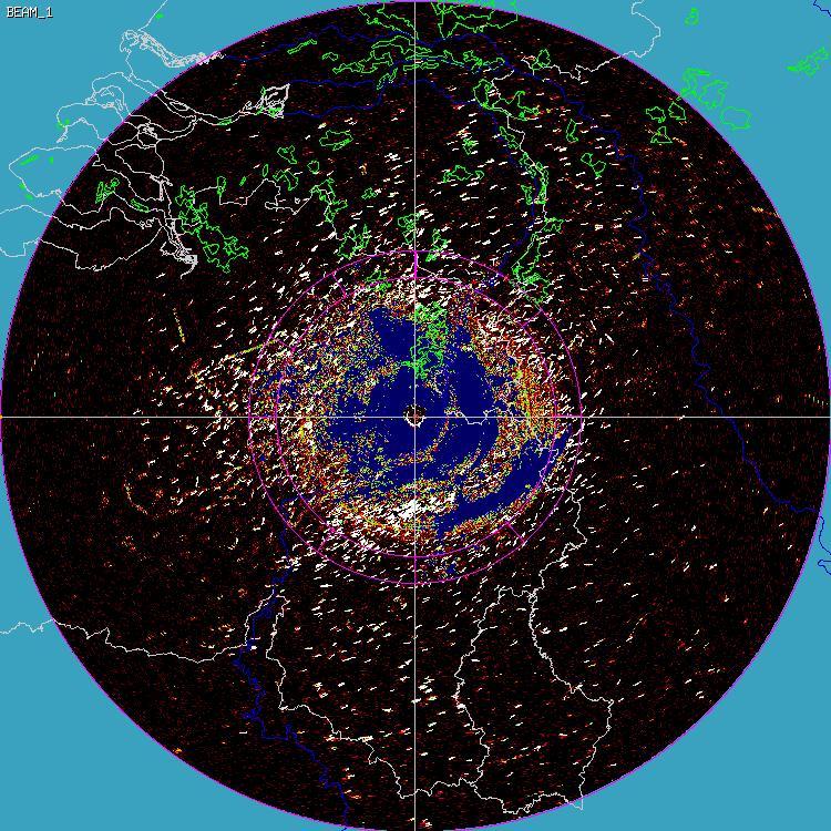 Bird migration above Belgium MPR radar = Robin picture (100