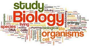 CHAPTER 1: THE STUDY OF LIFE SECTION 1: INTRODUCTION TO BIOLOGY Ms. Diana THE SCIENCE OF LIFE Biology is the study of living things.