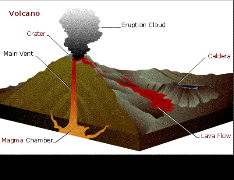 Volcanoes/ Earthquakes Volcanoes are openings in the Earth s surface that spew gases, chunks of