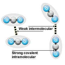 have strong covalent bonds, but only have low