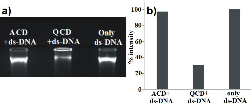 Fig. S9 a) Agarose gel electrophoresis of ds-dna in absence and presence of ACD and QCD ([DNA] =