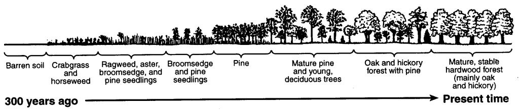 3. Base your answer to the following question on the diagram below, which shows the sequence of plant communities that