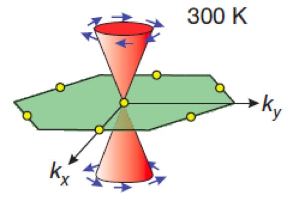 Nanomagnets with Spin Torque (with Muller, Buhrman) Spin