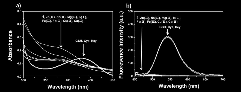 Absorption (a) and fluorescence (b) spectra of 1 (10.0 μm) recorded in the absence and presence of GSH, Cys, Hcy (5.0 mm, respectively) and various metal cations (1.