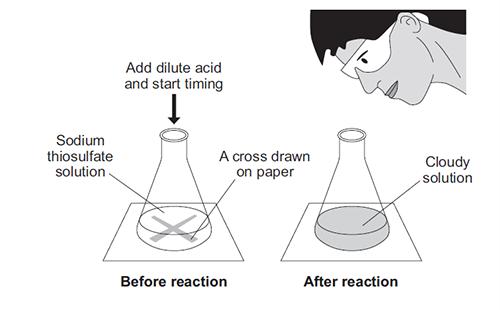 Q10. A student investigated the effect of temperature on the rate of a reaction. The picture below shows an experiment.
