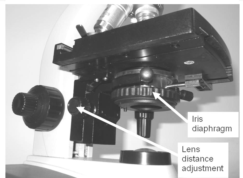 Think about what you are looking for Focus, locate, and center the specimen Adjust eyepiece separation, focus Select