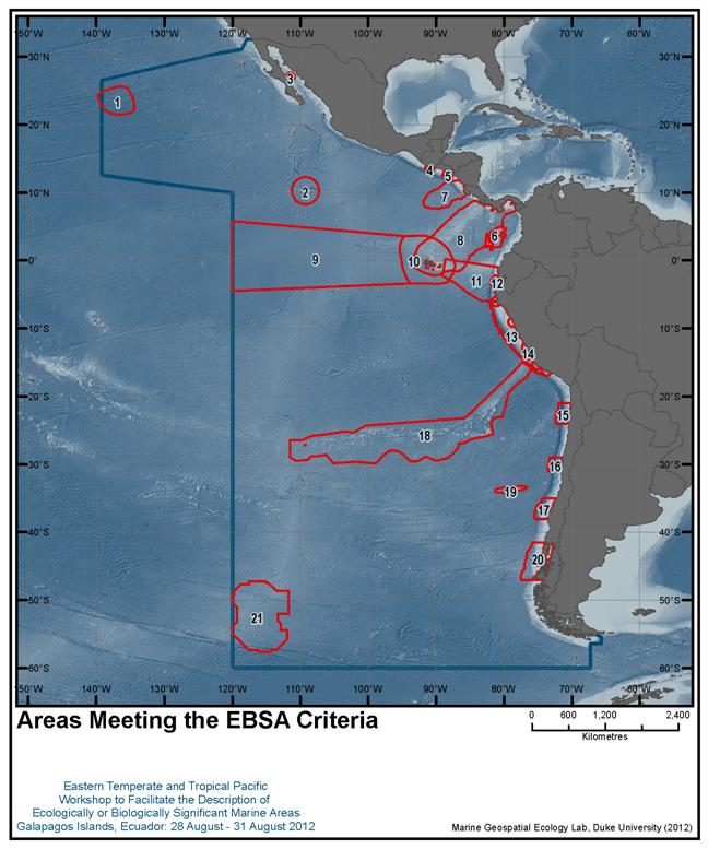 CPPS PROJETS IN GOVERNANCE OF THE OCEANS, AND OCEAN POLICIES IN ABNJ VME AND EBSA PLANNING: Identification and Protection