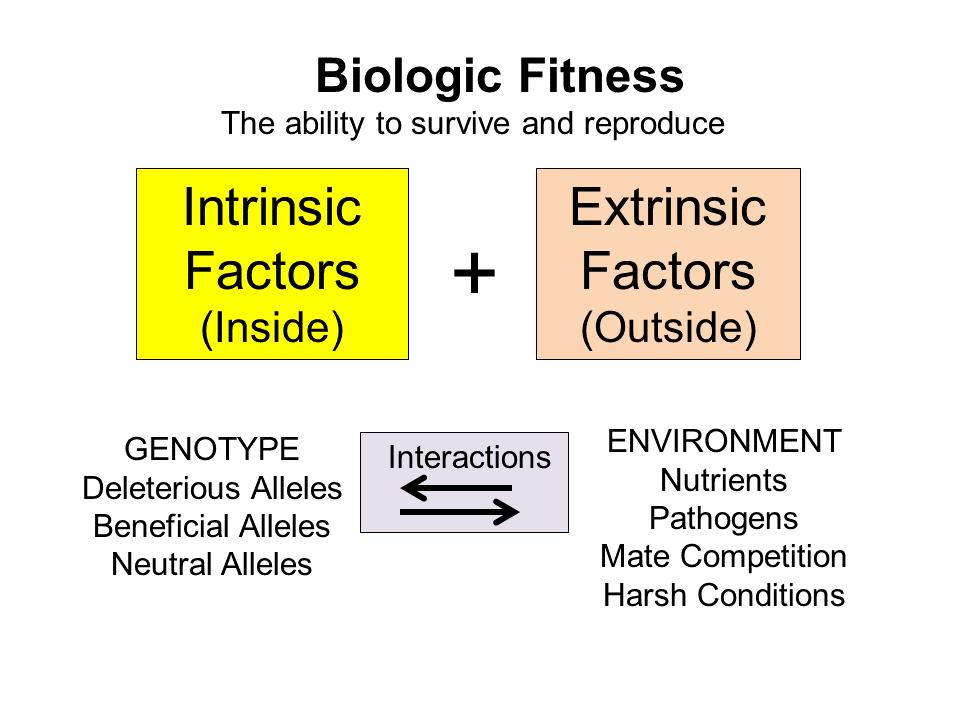 Biological Fitness Affected by Genetic and Environmental Factors Biological fitness, usually referred to simply as fitness, is the ability of an organism to survive and reproduce.