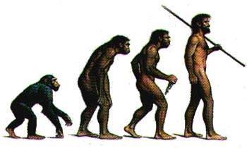 Evolution is a Theory Just like Evolution is a well supported explanation of phenomena that have