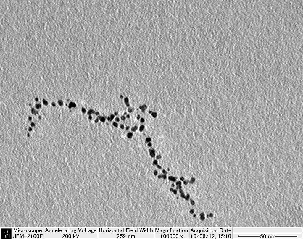 X-ray photoelectron spectra of AuCu NAs and Au nanoparticles (b) (a) Au 4f7/2 Au 4f5/2 Cu 2p3/2 AuCu NA AuCu NA Au NP Figure S2.
