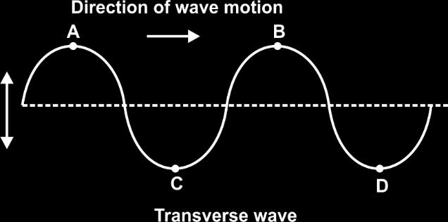 Sound 6 longitudinal wave as the direction of vibration of particles (here rings) is parallel to the direction of wave motion.