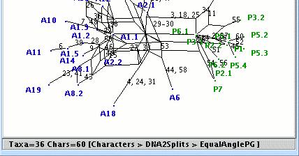 et al, 2003) One type of split network,