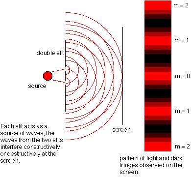 Young's double slit Light, because of its wave properties, will show constructive and destructive interference.