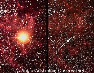 Progenitor Several aspects of the explosion came as an enormous surprise. First, and most importantly, astronomers were able to definitively identify the progenitor star from pre-supernova images.