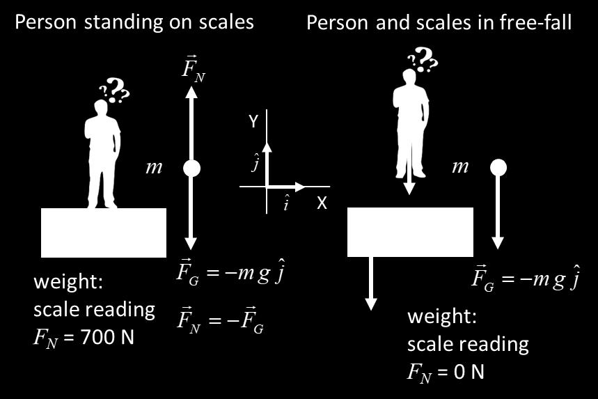 The weight of the peson is both cases in equal to mg.