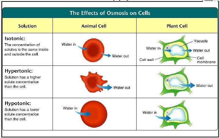 Osmotic