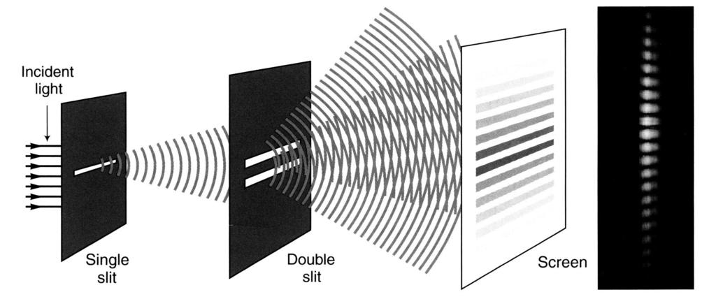 Double Slit Interference Experiment (Young, 1801) is proof that light is not particles. Start with 2 narrow slits illuminated by the same monochromatic (one wavelength) source.