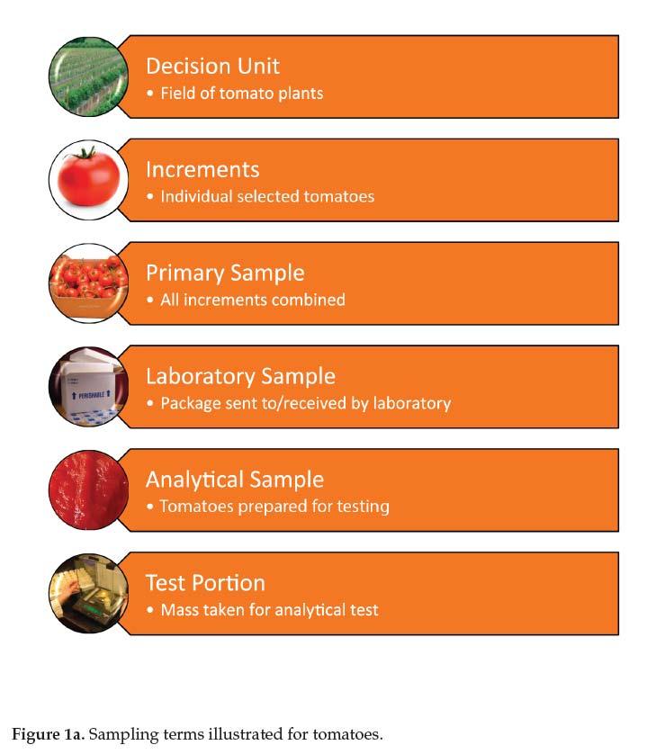 Hierarchy of Testing Items for Food Graphic from GoodSamples: