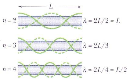 Standing waves in air columns A harmonic series L = 1 λ λ = 2L / 1 2 2 L = λ = 2 2 λ λ = 2L / 2 Half wavelengths 3 L