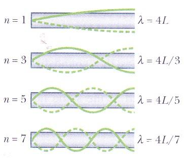 Standing waves in air columns A different harmonic series L = 1 4 λ 1 λ = 4L / 1 L = 3 4 λ 3 λ = 4L / 3 Quarter wavelengths