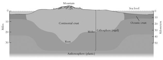 In this picture the thick board represents the continental lithosphere.