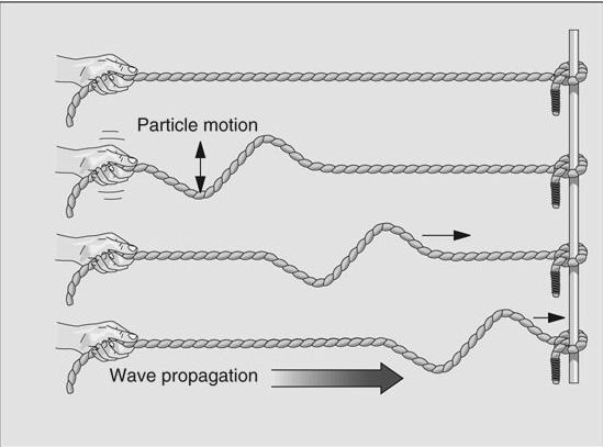 Secondary Waves: (play w/rope) Shear waves Particles move perpendicular to propagation