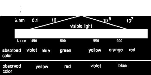 Light Absorption in Chloroplasts Light and Pigments Electromagnetic radiation What is white light?