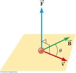 Finding the Direction of Magnetic Force Experiments show that the direction of the magnetic force is always perpendicular to both v and B F max occurs