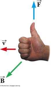 direction of the magnetic field, B Your thumb points in the direction of the force, F, on a positive charge If the charge is negative, the force is