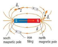 Permanent Magnets 1. Where is the magnetic field the strongest?