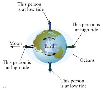 The Earth rotates through the tidal