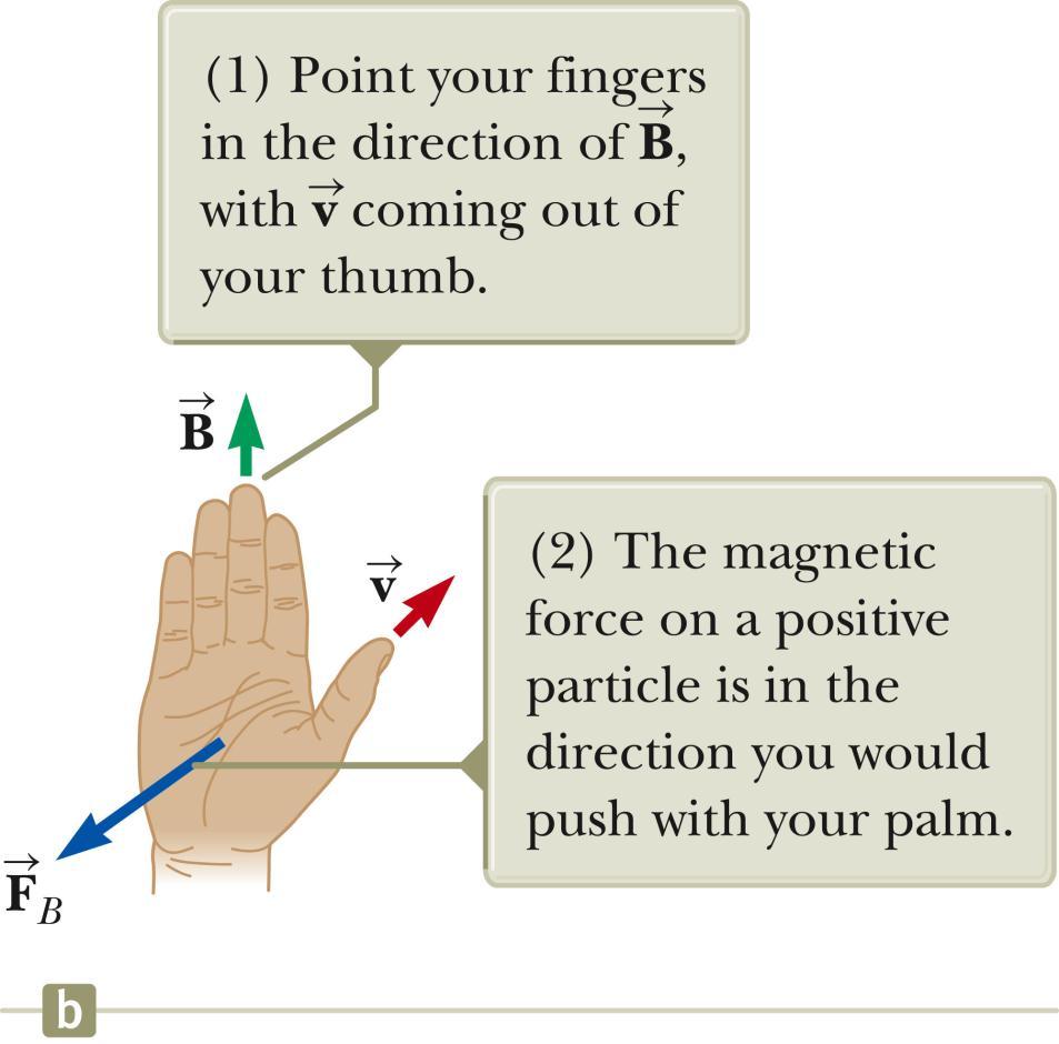 Direction: Right-Hand Rule #2 Alternative to Rule #1 The force on a positive charge extends outward from the palm.