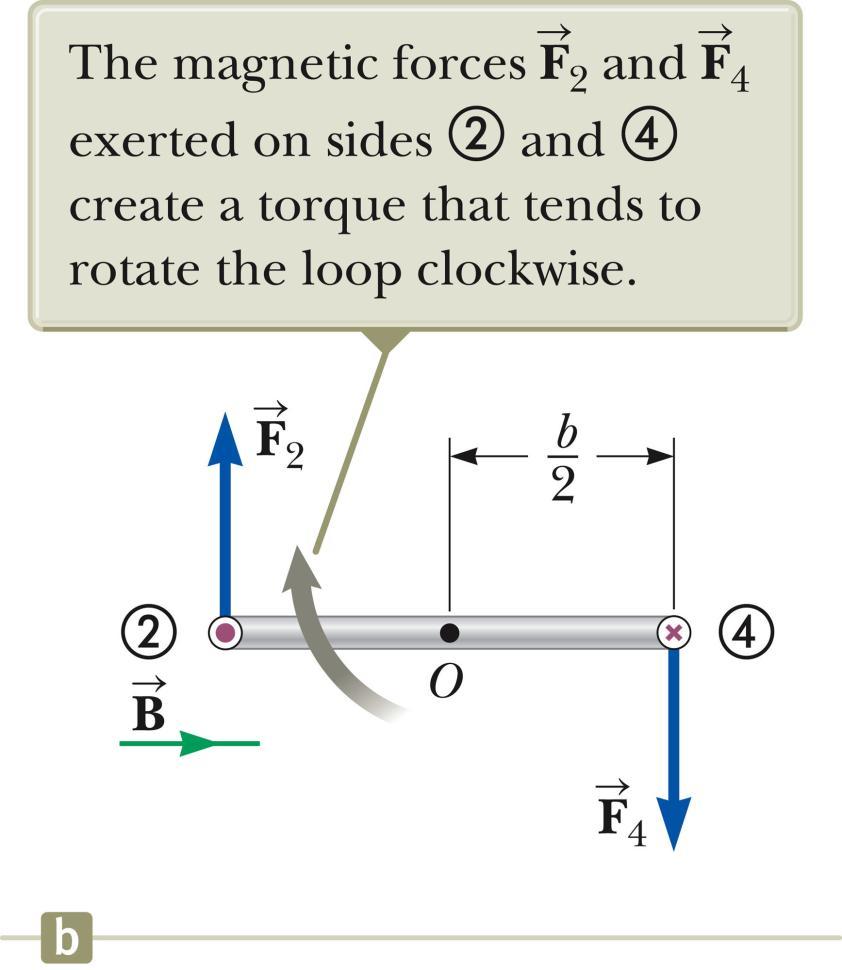 Torque on a Current Loop, 3 The forces are equal and in opposite directions, but not