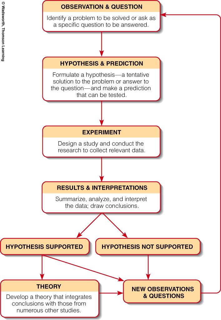 Process of science The Scientific Method Observation