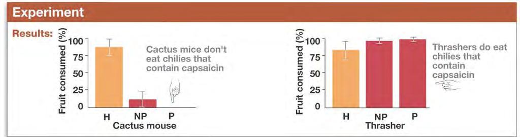 Clicker Q Does capsaicin deter some predators and not others? 1.