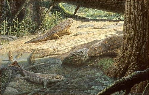Paleozoic Era Estimated from 248-550 million years ago Animals: Fish,
