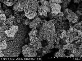 after the composite materials were placed for seven days. 3.2. Electron Microscopy Fig 2.